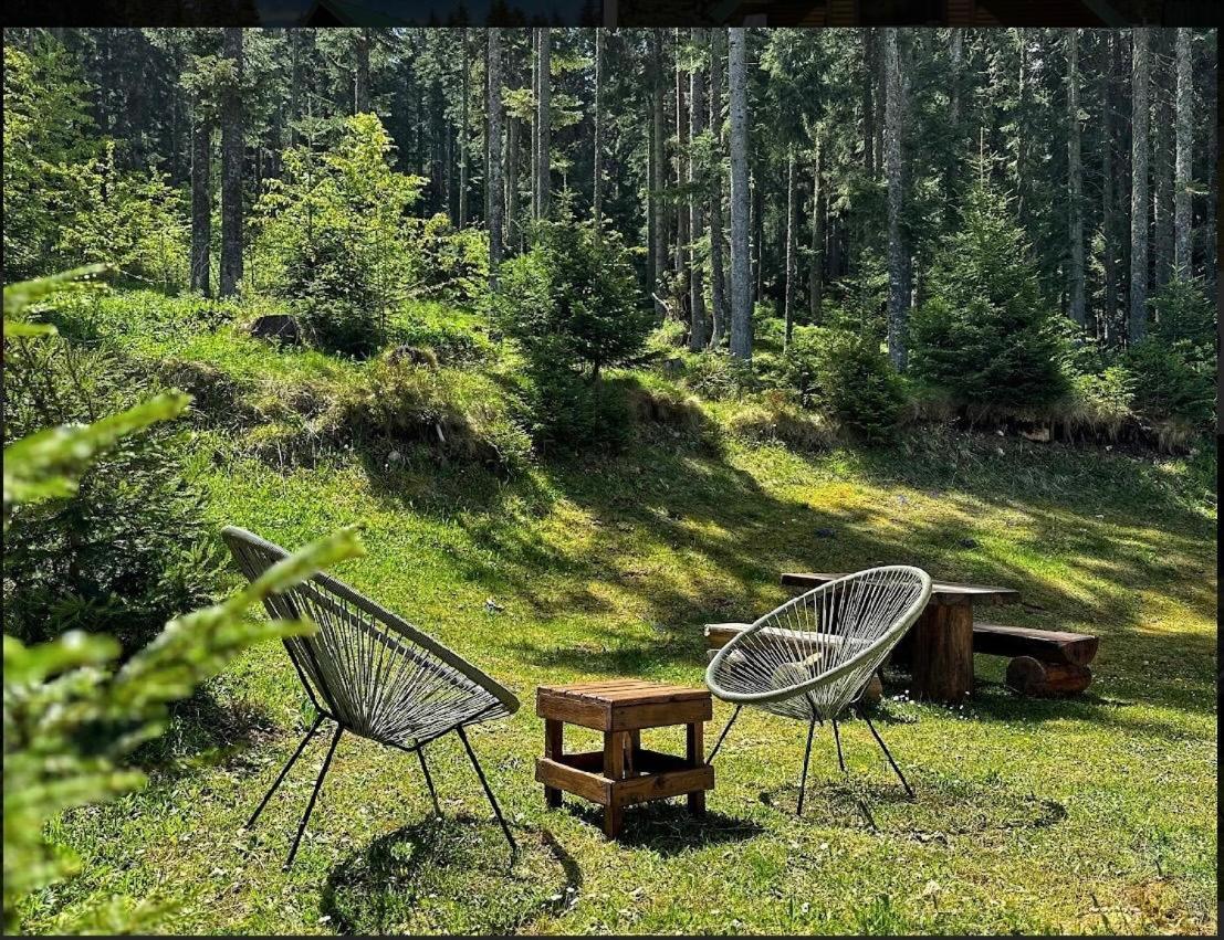Vila Dragana Zabljak  Luaran gambar